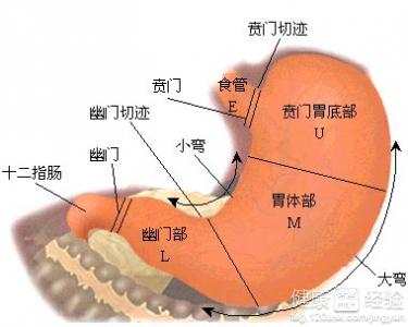 胃炎能喝蜂蜜嗎