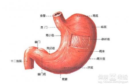 第2步