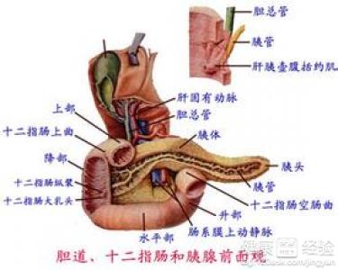 第1步