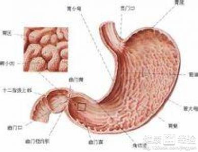 淺表性胃炎的症狀有哪些