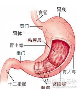 急性胃炎症狀表現