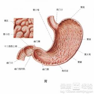 萎縮性胃炎的症狀和危害有些什麼？