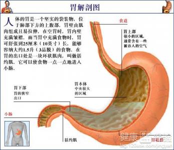 胃炎都要做哪些檢查，如何治療？