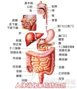 第1步