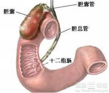 十二指腸胃潰瘍有什麼症狀