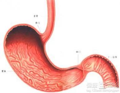 胃潰瘍多吃什麼好？