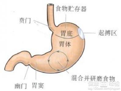 有胃潰瘍的人該怎麼治療和護理