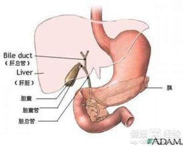紅斑性胃窦炎有哪些治療方法