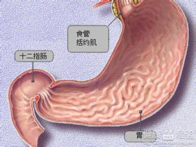 膽汁反流型胃窦炎用中藥治療效果如何