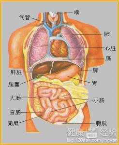 膽汁反流型胃窦炎手術中該注意些什麼
