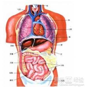 慢性隆起糜爛性胃窦炎在飲食上該注意些什麼