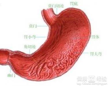胃窦炎飲食應注意些什麼