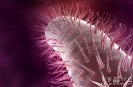 幽門螺懸桿菌胃窦炎的危害是什麼
