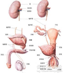 第1步