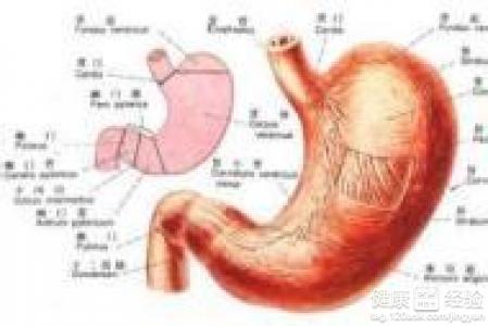 疣狀胃窦炎的症狀是什麼