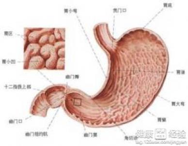 疣狀胃窦炎該如何預防