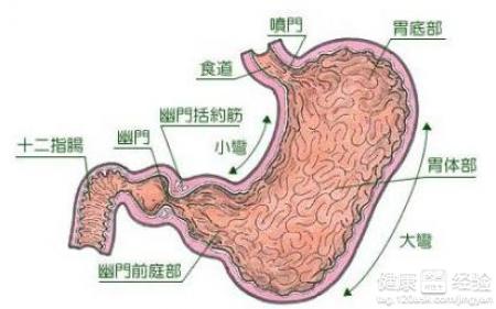 治療胃窦炎的中藥方劑