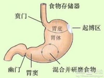 胃窦炎和胃炎的區別