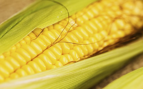 黃色食物能養胃 養胃吃什麼好 吃玉米能養胃嗎