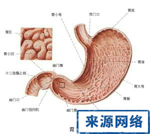 腹式呼吸 助消化 運動 按摩 胃部 消化機能