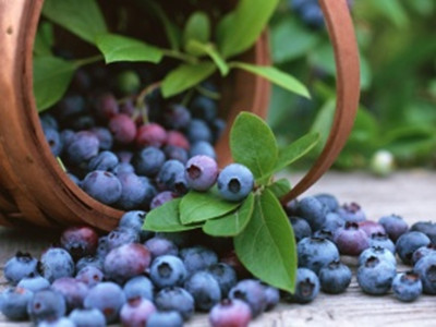 藍莓可抗癌 營養專家推薦的10種食物