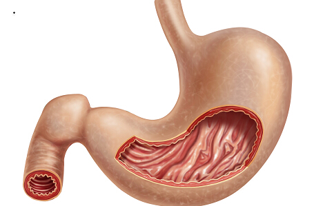 胃病癌變的征兆 胃癌的早期症狀有哪些 吃什麼防胃癌