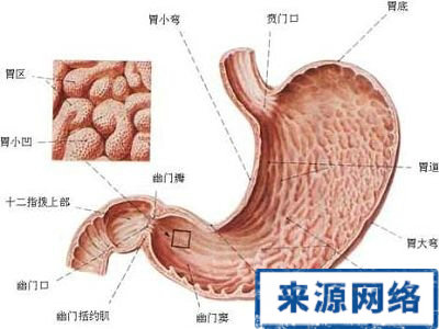 胃炎 治療 消化內科 膽汁返流 胃黏膜 急性胃腸炎
