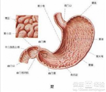 萎縮性胃窦炎的症狀有哪些