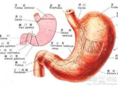 糜爛性胃窦炎用什麼藥
