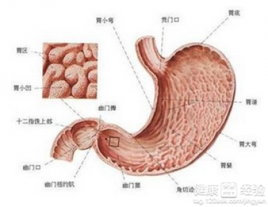 疣狀胃窦炎不能吃哪些食物