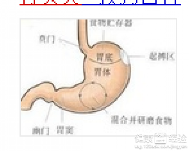 幽門螺懸桿菌胃窦炎有哪些危害