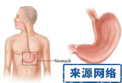 膽汁反流性胃炎 胃炎治療 膽汁反流性胃炎的治療