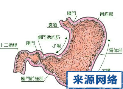 慢性淺表性胃炎 胃炎 胃病
