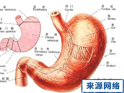 膽汁反流性胃炎 中醫治療膽汁反流性胃炎