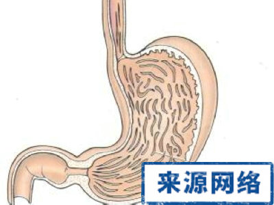 胃炎 胃癌 胃潰瘍 感染胃炎 胃炎的表現
