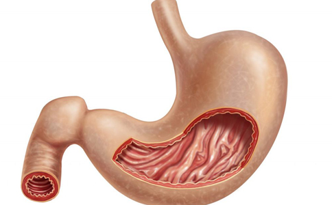胃潰瘍患者如何正確飲食 胃潰瘍吃什麼好 胃潰瘍能吃水果嗎