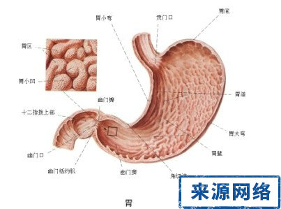 胃潰瘍 胃病 胃潰瘍久治不愈 胃潰瘍反復發作
