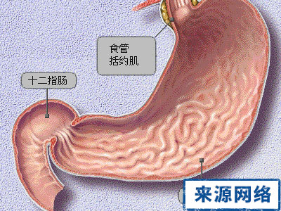 胃潰瘍 維生素C 飲食 食物 營養 胃出血 胃酸 飲食治療 
