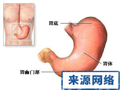 胃下垂 胃下垂治療 胃下垂怎麼辦